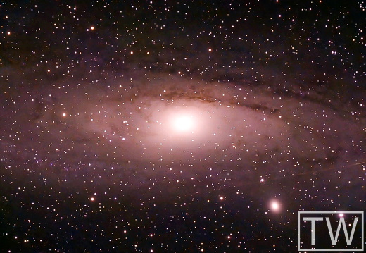M31