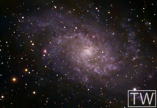M33
