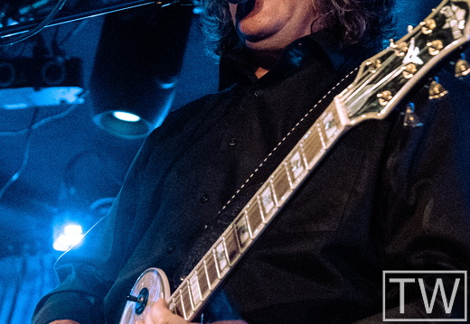 sean-chambers-savoy-brown-9